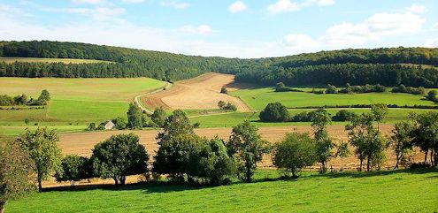 L’Agriculture en Haute-Marne en quelques chiffres